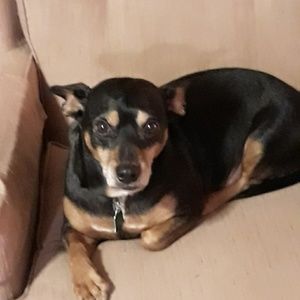 Meet your Posher, Luann